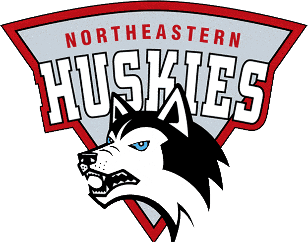 Northeastern Huskies 1992-2000 Primary Logo t shirts DIY iron ons
